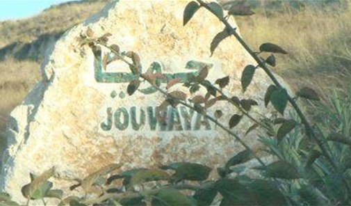 جوايا