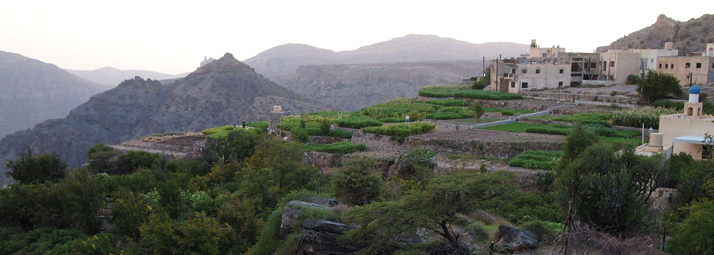 kaouthariyet-es-siyad