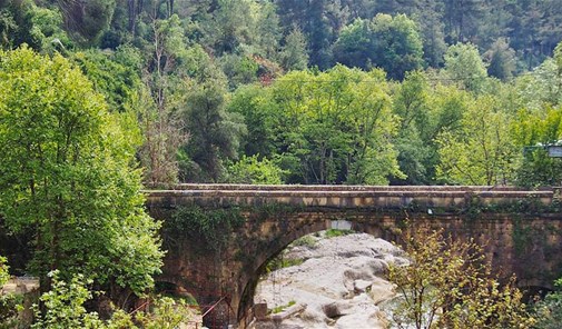 midane-jezzine