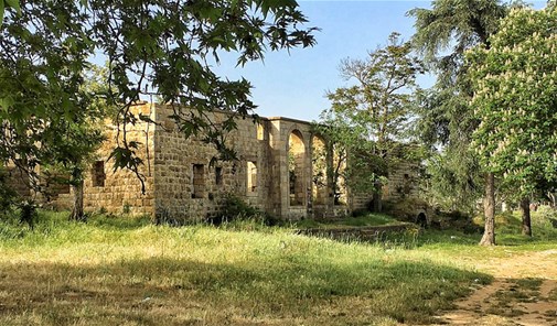 نجارية