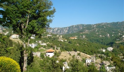 مراديه