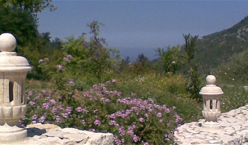 بشوات