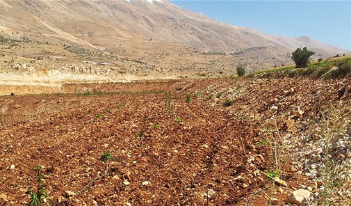 harbata-baalbek