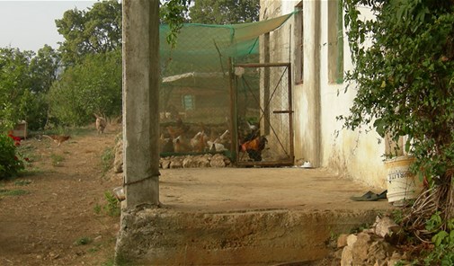 جبعا-بعلبك
