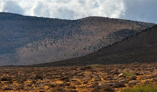 مزرعة-سجد-الهرمل
