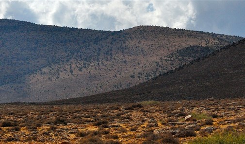 mazraat-sejoud-hermel