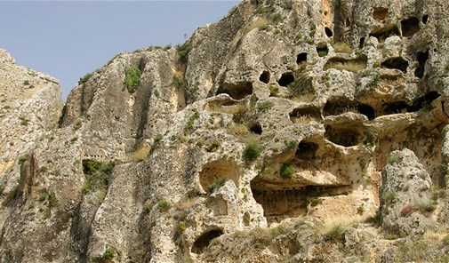 فرزل