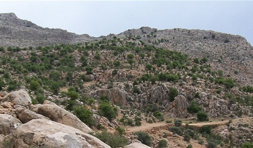 كفر-كوك