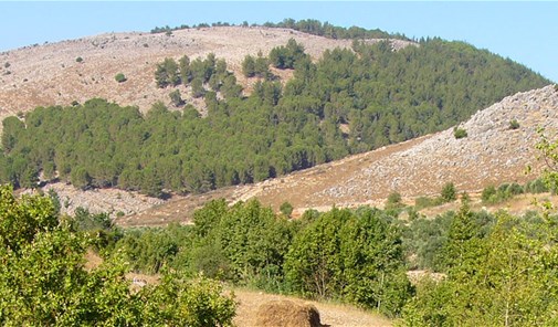 كفر-زبد